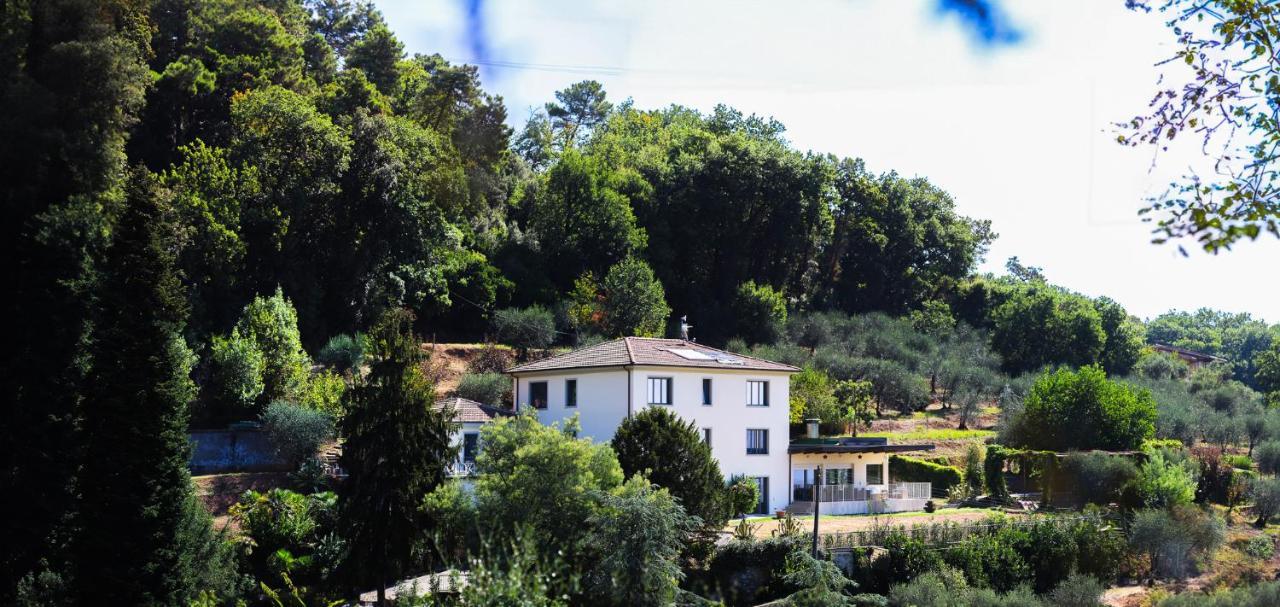 Agriturismo Terra Volonteri Montecatini Terme Eksteriør bilde