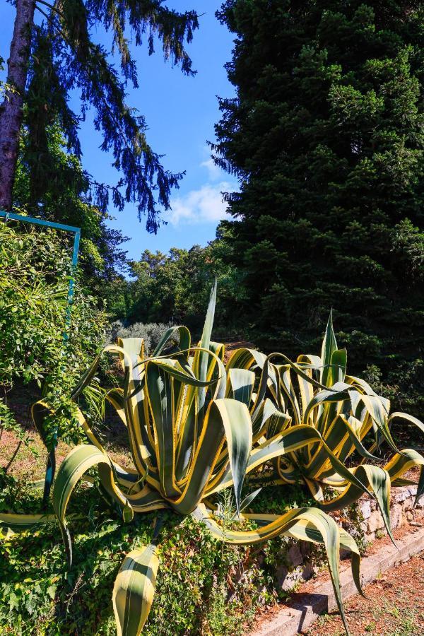 Agriturismo Terra Volonteri Montecatini Terme Eksteriør bilde