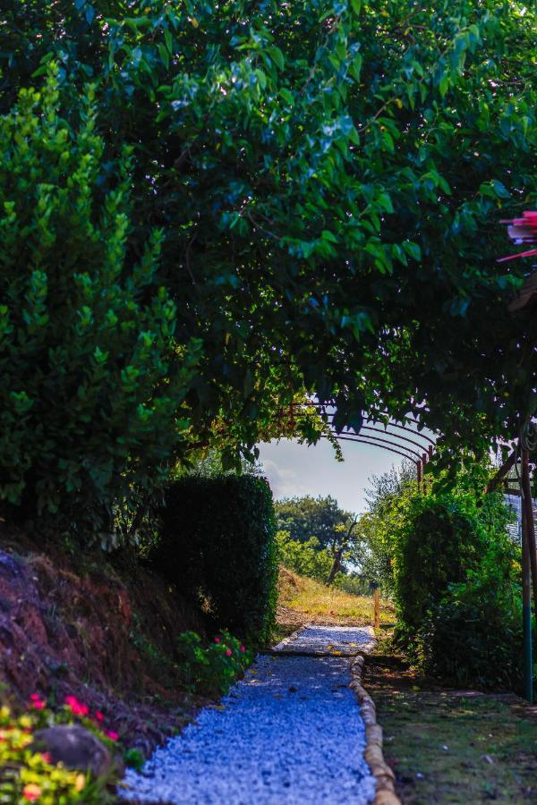 Agriturismo Terra Volonteri Montecatini Terme Eksteriør bilde