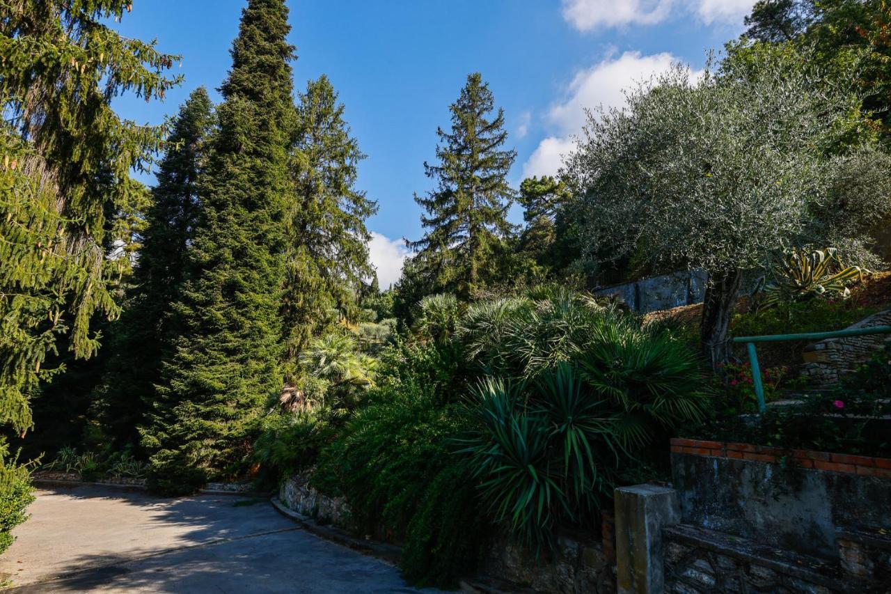 Agriturismo Terra Volonteri Montecatini Terme Eksteriør bilde
