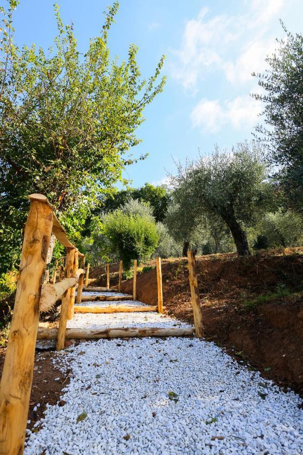 Agriturismo Terra Volonteri Montecatini Terme Eksteriør bilde