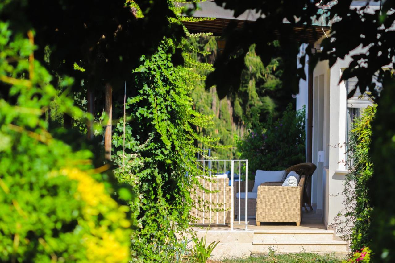 Agriturismo Terra Volonteri Montecatini Terme Eksteriør bilde