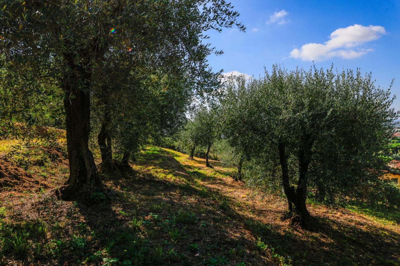 Agriturismo Terra Volonteri Montecatini Terme Eksteriør bilde