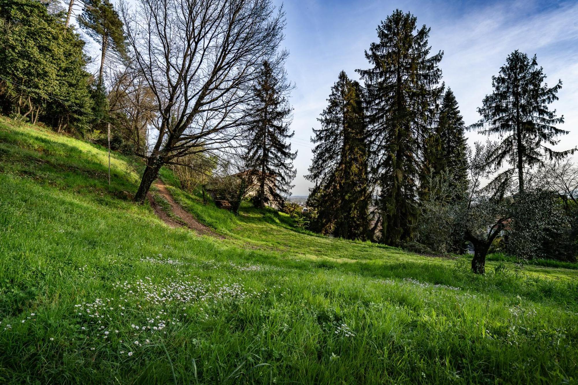 Agriturismo Terra Volonteri Montecatini Terme Eksteriør bilde